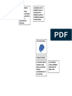 Test de Inteligencia