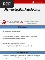 Aula 07 Pigmentações Patológicas.pdf