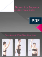 Muscle Extremitas Superior