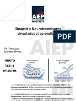 Bases Neuro 9