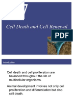 Cell Death