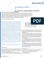 Bellini2009 PDF