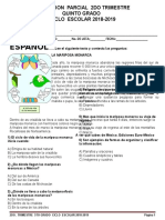 Examen Quinto Grado 2do. Trimestre Español