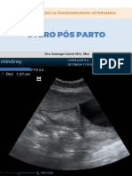 Utero Postparto