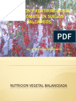 Nutricion y Fertirrigacion Del Tomate en Suelos Calcareos