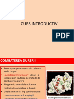 Curs Introductiv