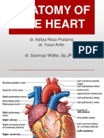 Anatomy of The Heart: Dr. Aditya Reza Pratama Dr. Yusuf Arifin Dr. Sasmojo Widito, SP - JP (K)