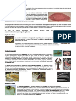 Cta4-u6-Sesion 05-Intercambio de Gases y Respiracion-Material Consulta