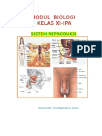 Modul Biologi Kelas Xi-Ipa: Sistem Reproduksi