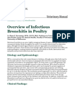 Overview of Infectious Bronchitis in Poultry - Poultry - Merck