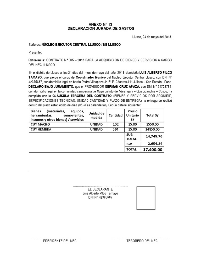 Declaración Jurada de Gastos 2018 | PDF | Documento | Evidencia