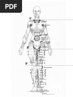 Drenagem Linfatica - Passo a Passo