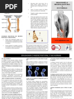 Guía de Higiene de Columna | PDF | La columna vertebral