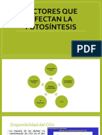 Factores Que Afectan La Fotosíntesis