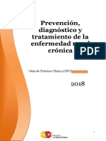 guia_prevencion_diagnostico_tratamiento_enfermedad_renal_cronica_2018.pdf