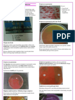 Tentir Praktikum Mikrobiologi Dan Parasitologi