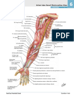Atlas of Human Anatomy - Including Student Consult Interactive Ancillaries and Guides1