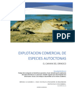 Explotacion de Especie Autoctona Cocodrilo Del Orinoco en Venezuela
