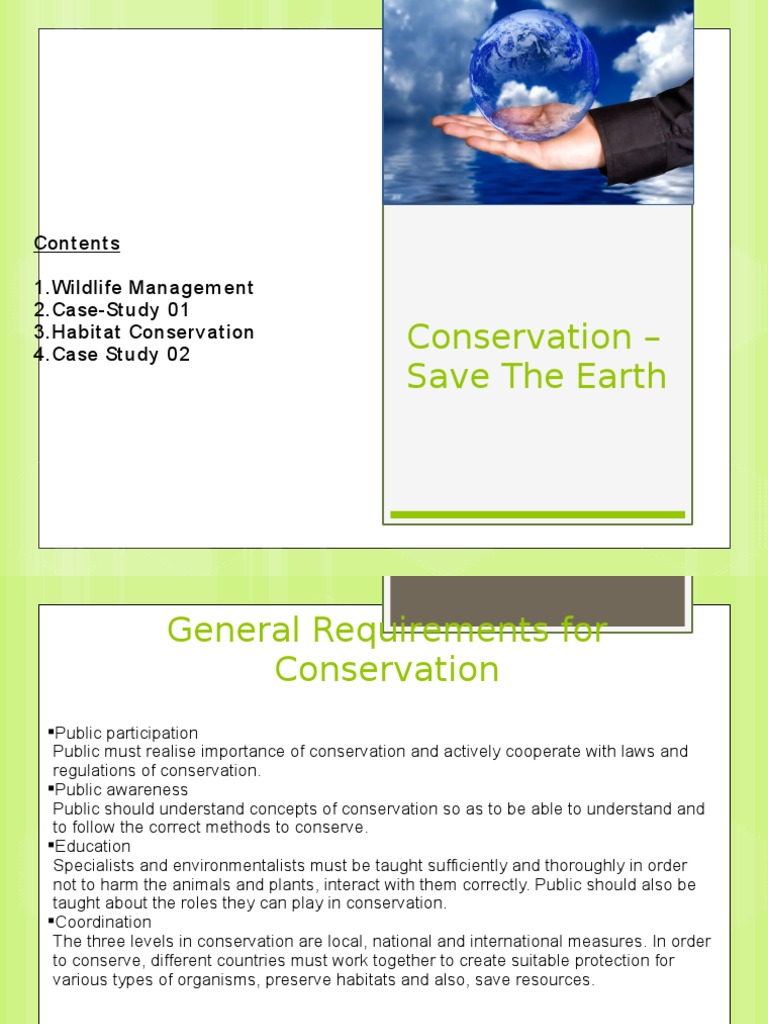 Wildlife visual data 6