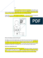 Simple Kidney Cysts What Are Simple Kidney Cysts?