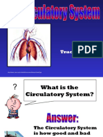 Circulatorysystemslideshow 111118171515 Phpapp01 PDF