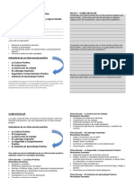 Clima Escolar Matriz de Character Counts