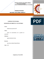 Áreas de Conocimiento de La Gestión de Proyectos