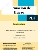 Formacion de Hueso MODI