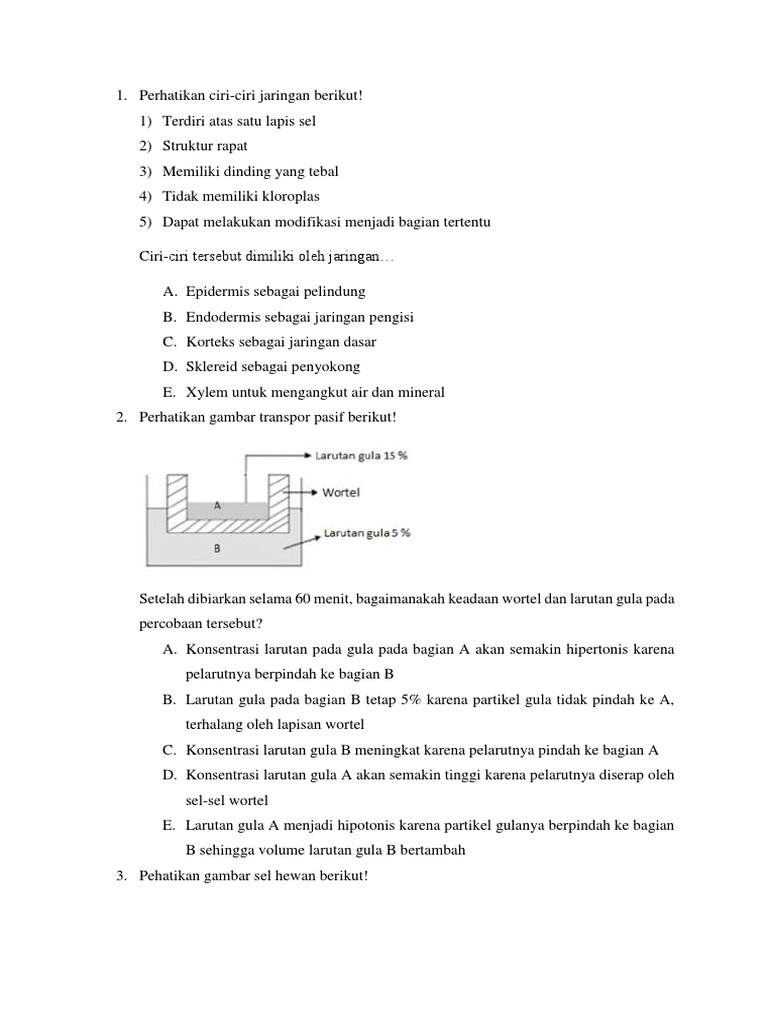 Soal Simulasi Biologidocx