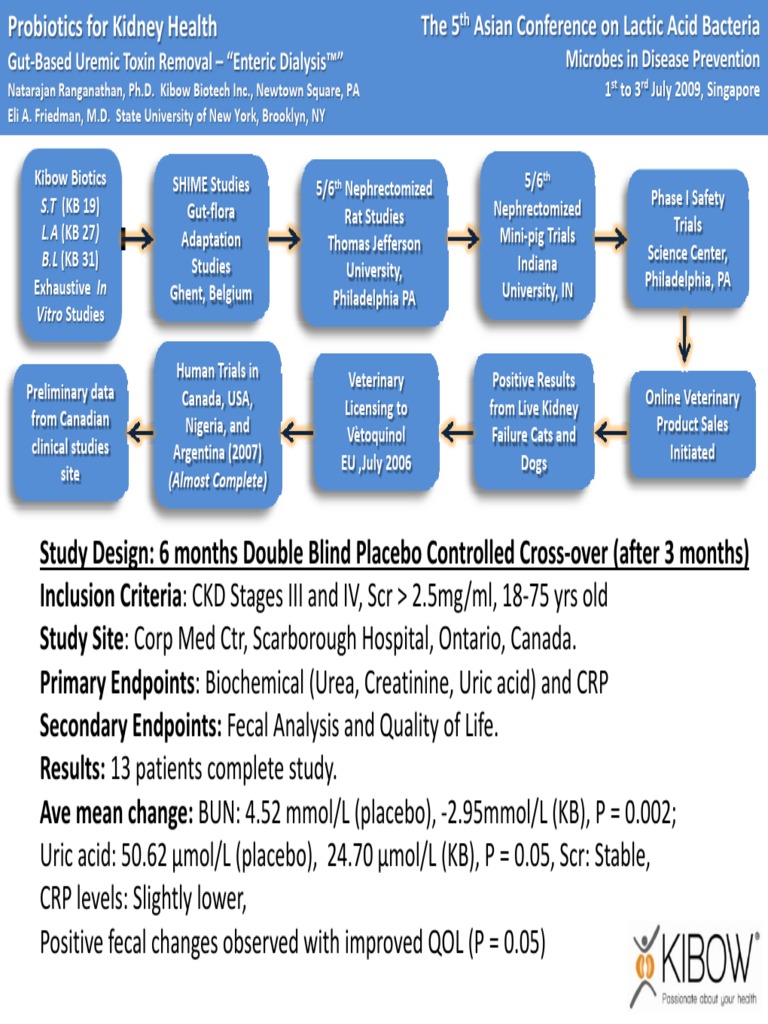 Probiotics For Kidney Health PDF Chronic Kidney Disease Probiotic