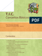 ticconceitosbasicosversaosimplificada7anotabua-131028100248-phpapp02.pdf