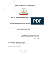 341 Implentación de Una Microempresa de Producción y Comercialización de Mochilas en La Ciudad de Tulcán PDF