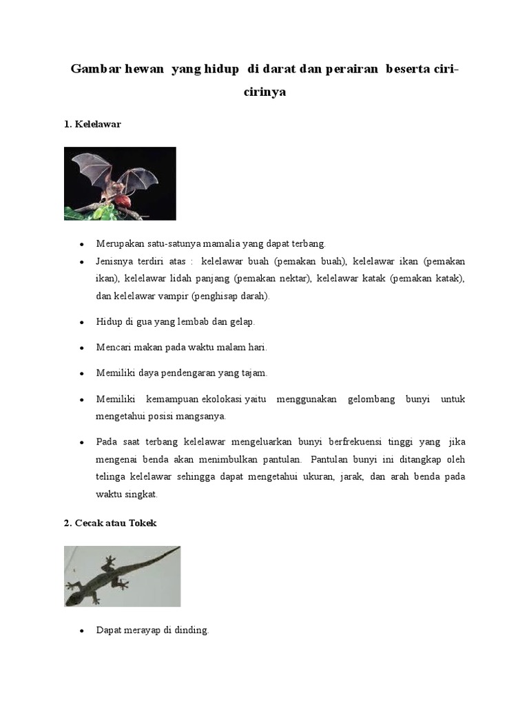 55 Gambar Hewan Dan Ciri2nya HD Terbaru