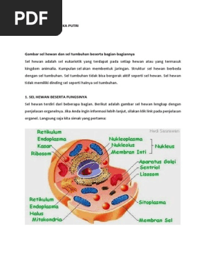  Gambar  Sel  Hewan  Beserta Keterangan Dan  Fungsinya Rahman 