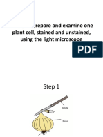 2.1.2 Plant Cell Procedure