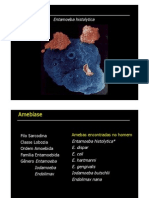 Amebiase Med