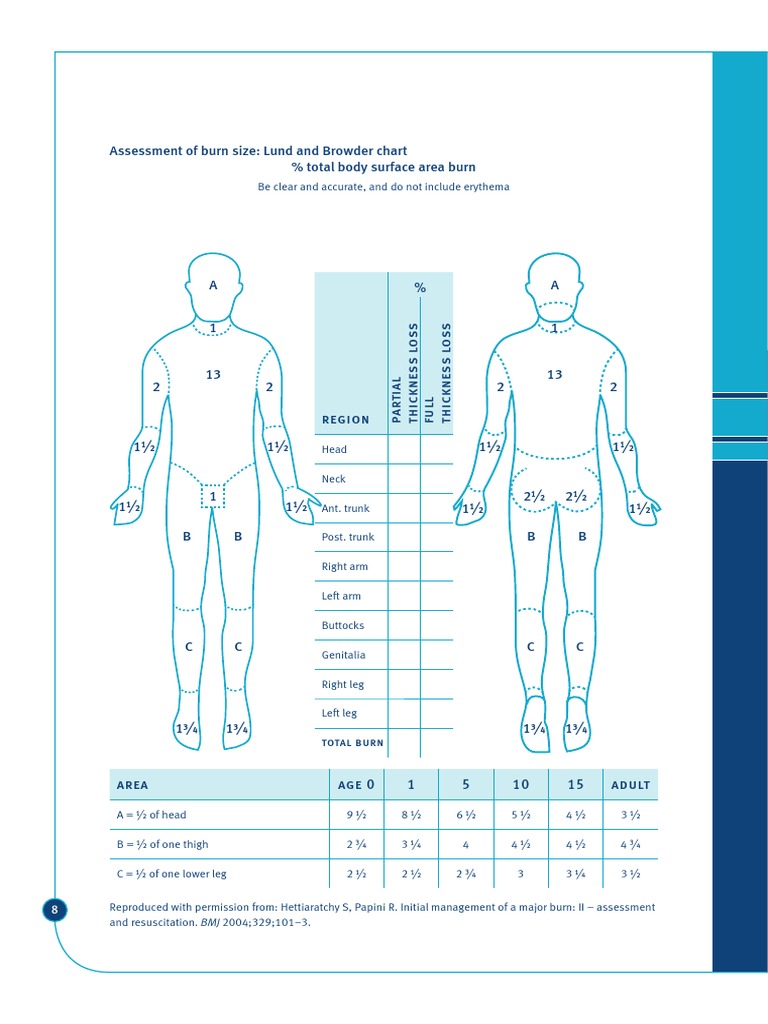 Lund and Browder Chart PDF Burn Skin