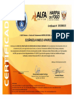 Certificado NR 33