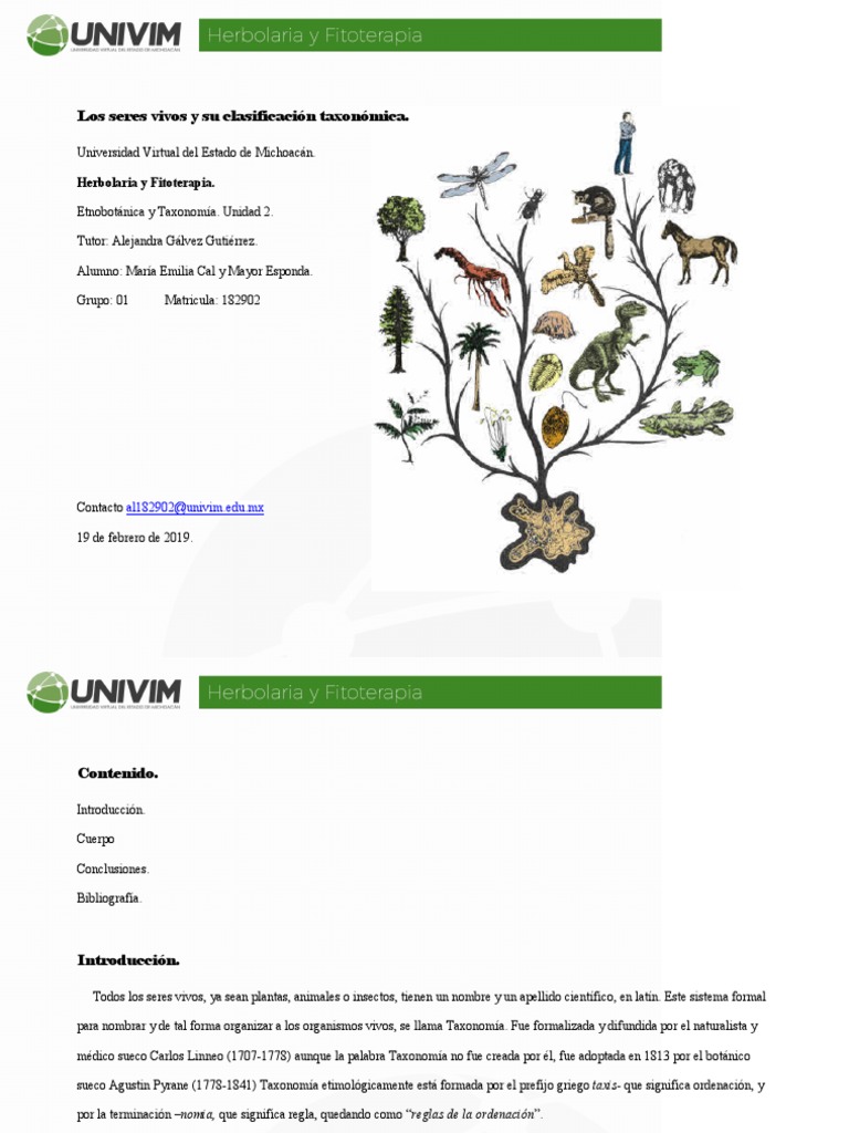 Emilia Cal y Mayor - Mapa Mental de Taxonomía | PDF | Taxonomía (biología)  | Clasificación biológica
