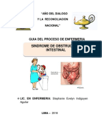 SD Obstruccion Intestinal