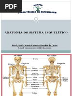Aula 2 Sistema Esquelético