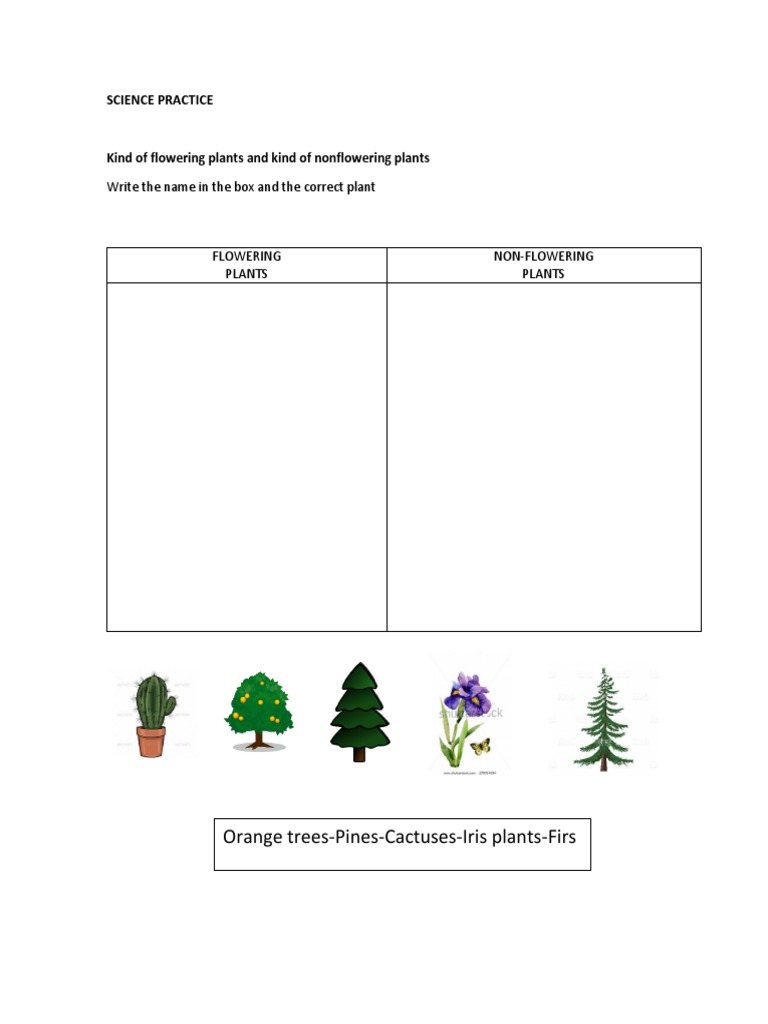Science Practice Docx Plants Atmosphere Of Earth