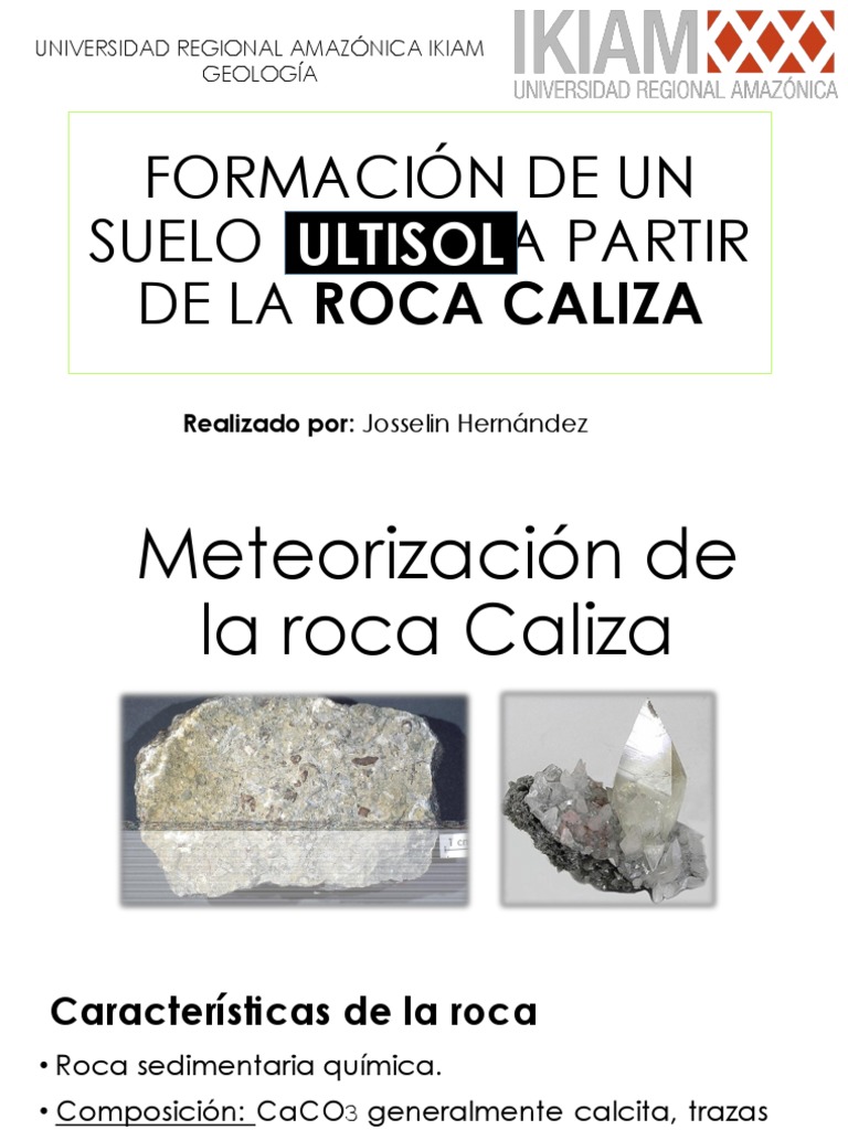 Formación de un suelo ULTISOL a partir de la ROCA CALIZA - Procesos ...