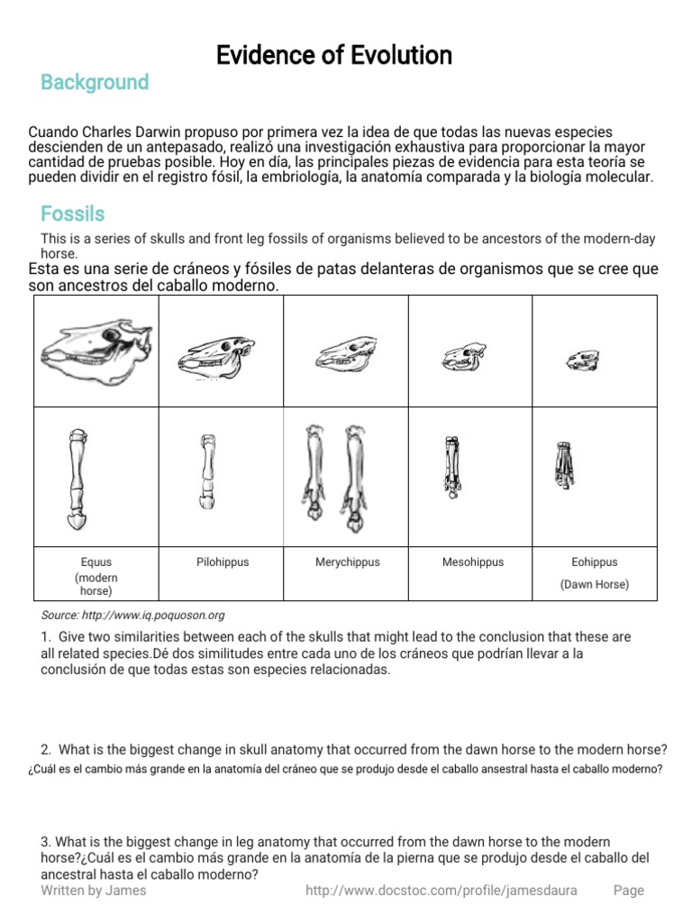 Español Evidence of Evolution Worksheet  PDF  Naturaleza For Evidence Of Evolution Worksheet