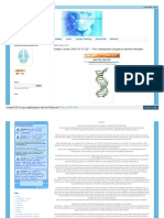 Gohas' Corner DNA 101 102 - The Transduction Sequence and The Merkaba