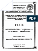 Modelo Tesis de Cafe Goteo Cajamarca PDF