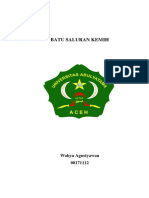 38829713-Batu-Saluran-Kemih.pdf