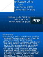 Pemeriksaan urine.ppt