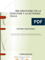 Sistema Endocrino en La Digestión y La Actividad