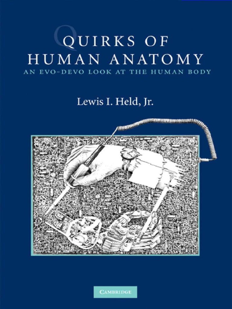 Lewis I Held Jr Quirks Of Human Anatomy An Ev Evolution Muscle